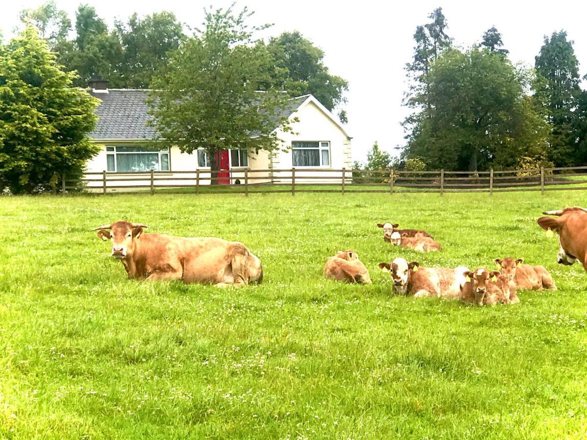 Knocknagore Cottage Gilford Εξωτερικό φωτογραφία